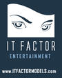 IT FACTOR profile picture