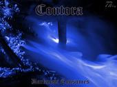 Contora <Writing a full length =)> profile picture