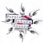 PURPLE NATURE SOUNDZ profile picture