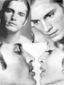 JOE DALLESANDRO OFFICIAL FAN SITE WE WANT YOU. profile picture