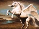 pegasus profile picture