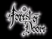 Forest Of Doom (New Songs Online) profile picture