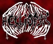 Helliopsis profile picture