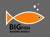 BigFish Booking profile picture