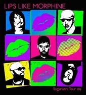 Lips Like Morphine "New Song Up!" profile picture