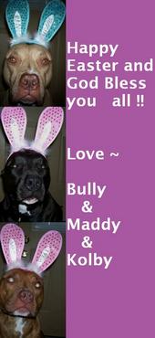 Bully ♥ Maddy ♥ Kolby profile picture