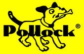 Pollock profile picture