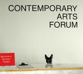 SB Contemporary Arts Forum profile picture