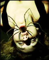 Arachnid Arcade profile picture