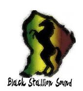 Black Stallion sound profile picture