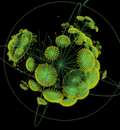 organelle