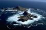 Farallones Marine Sanctuary Association profile picture