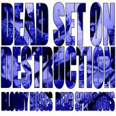 Dead Set On Destruction profile picture