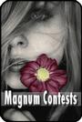 Magnum Contests[.7kay+](Starting at 1k) profile picture