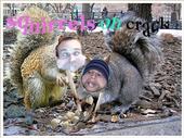 squirrels on crack profile picture