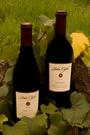 John Tyler Wines produced by Bacigalupi Vineyards profile picture