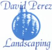 David Perez Landscaping profile picture