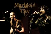 Marigold City (formerly Wacko Mazoe) profile picture