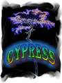 Cypress profile picture