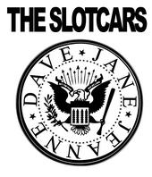 The SlotCars profile picture