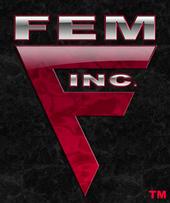 FEM INC. profile picture