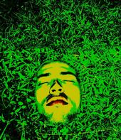 Earth Cries profile picture