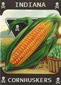 Indiana Cornhuskers profile picture