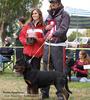 National Independent Rottweiler Klub (NIRK) profile picture