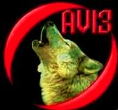 AV13 profile picture