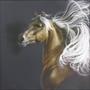 Last Angel Equine Defence profile picture