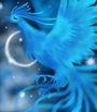 Sky Phoenix profile picture