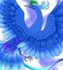 Sky Phoenix profile picture