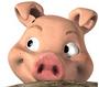 Piggley Winks profile picture