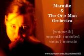 Marmite & The One Man Orchestra profile picture