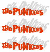 The Punkees profile picture