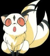 Kirara profile picture