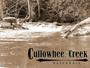 Cullowhee Creek profile picture