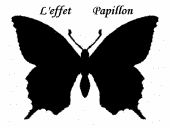 l effet papillon profile picture