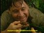 Steve Irwin Official Tributeâ„¢ profile picture