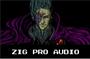 ZIG PRO AUDIO profile picture