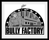 TheBullyFactory profile picture