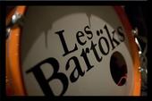 Les Bartoks profile picture