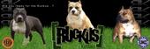 Ruckus Kennels profile picture