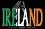 The United Irish Society Florida Chapter profile picture