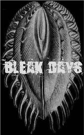 BLEAK DAYS profile picture