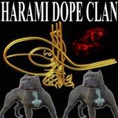 Harami Dope Clan profile picture