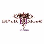 Black Rose profile picture