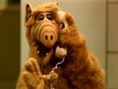 Alf!!!!! What I didn't do it profile picture