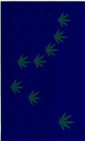 Greener Side Jam Band profile picture