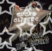 the sugar gliders profile picture